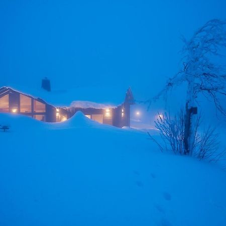 Beerenhaus Villa Altenberg Luaran gambar