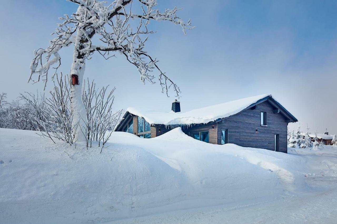Beerenhaus Villa Altenberg Luaran gambar