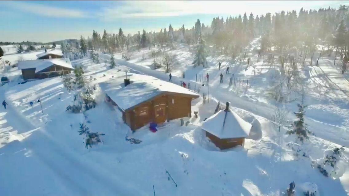 Beerenhaus Villa Altenberg Luaran gambar