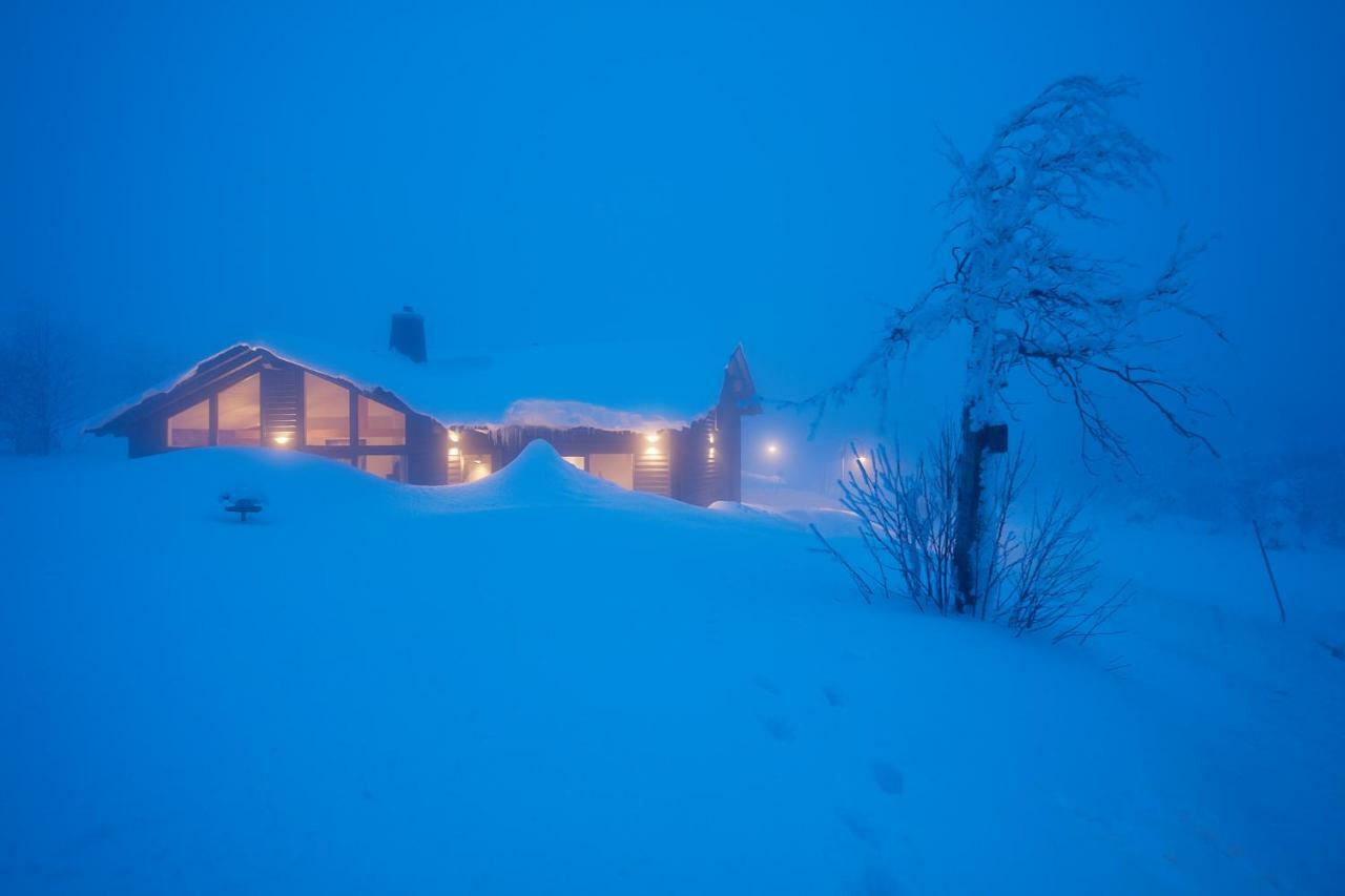 Beerenhaus Villa Altenberg Luaran gambar