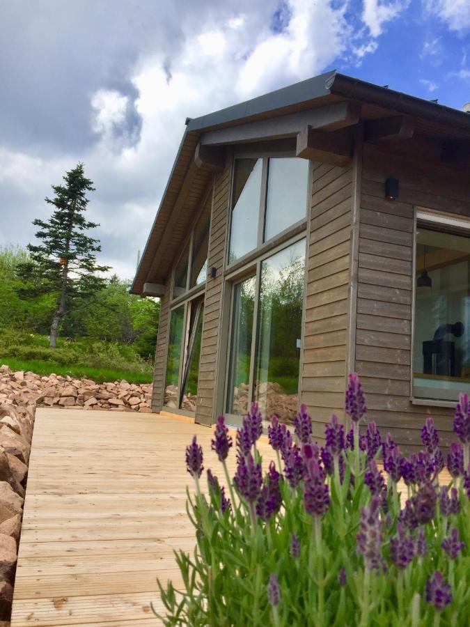 Beerenhaus Villa Altenberg Luaran gambar
